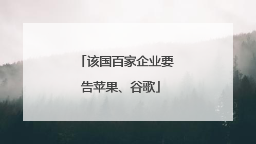该国百家企业要告苹果、谷歌