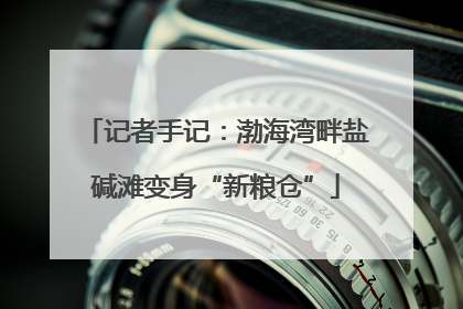 记者手记：渤海湾畔盐碱滩变身“新粮仓”