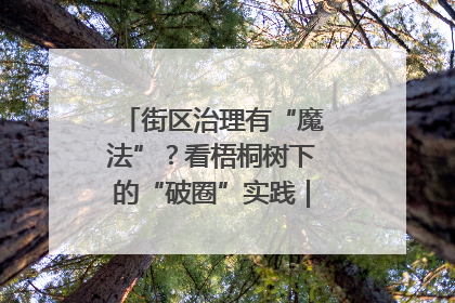街区治理有“魔法”？看梧桐树下的“破圈”实践｜我在街区当书记