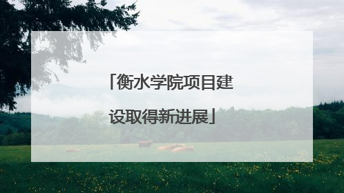衡水学院项目建设取得新进展
