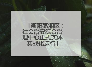 衡阳蒸湘区：社会治安综合治理中心正式实体实战化运行