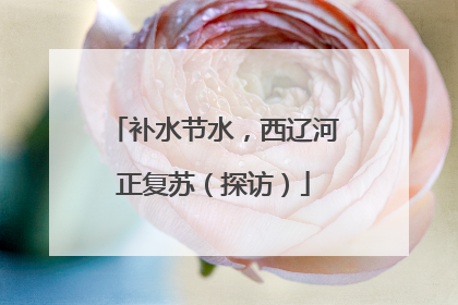 补水节水，西辽河正复苏（探访）