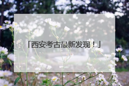 西安考古最新发现！