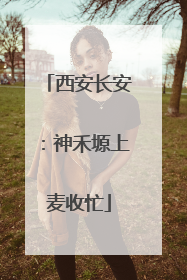 西安长安：神禾塬上麦收忙
