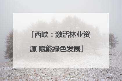 西峡：激活林业资源 赋能绿色发展