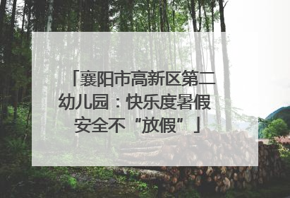 襄阳市高新区第二幼儿园：快乐度暑假 安全不“放假”