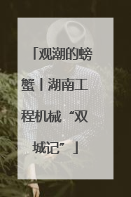 观潮的螃蟹丨湖南工程机械“双城记”