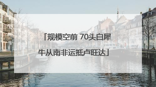 规模空前 70头白犀牛从南非运抵卢旺达