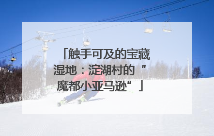触手可及的宝藏湿地：淀湖村的“魔都小亚马逊”