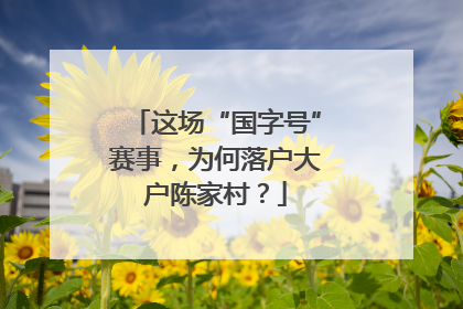 这场“国字号”赛事，为何落户大户陈家村？