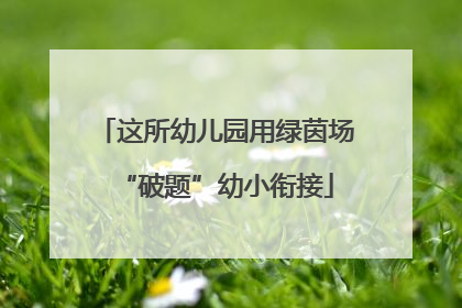 这所幼儿园用绿茵场“破题”幼小衔接