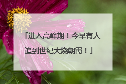 进入高峰期！今早有人追到世纪大烧朝霞！