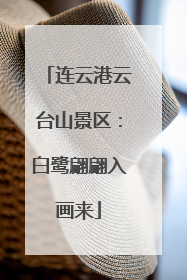 连云港云台山景区：白鹭翩翩入画来