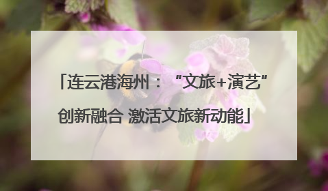 连云港海州：“文旅+演艺”创新融合 激活文旅新动能
