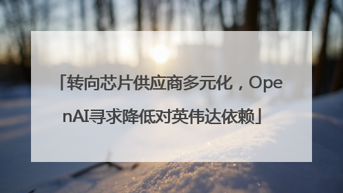 转向芯片供应商多元化，OpenAI寻求降低对英伟达依赖