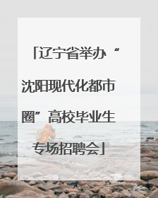 辽宁省举办“沈阳现代化都市圈”高校毕业生专场招聘会