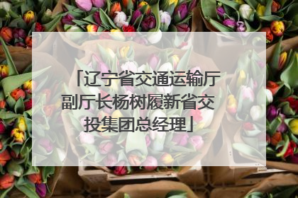 辽宁省交通运输厅副厅长杨树履新省交投集团总经理