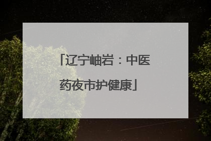 辽宁岫岩：中医药夜市护健康
