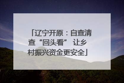 辽宁开原：自查清查“回头看” 让乡村振兴资金更安全