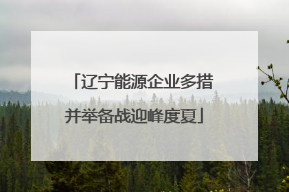 辽宁能源企业多措并举备战迎峰度夏