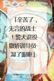 辛苦了，无言的战士！警犬退役撒娇训导员湿了眼眶