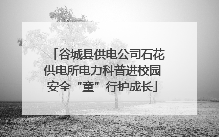 谷城县供电公司石花供电所电力科普进校园安全“童”行护成长