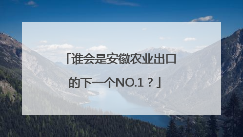 谁会是安徽农业出口的下一个NO.1？