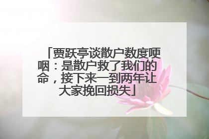 贾跃亭谈散户数度哽咽：是散户救了我们的命，接下来一到两年让大家挽回损失