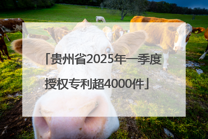 贵州省2025年一季度授权专利超4000件
