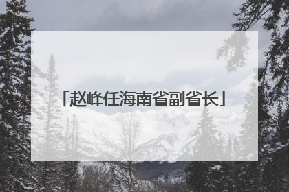 赵峰任海南省副省长