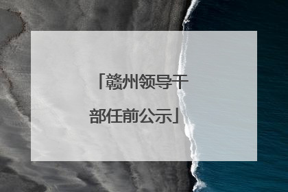 赣州领导干部任前公示