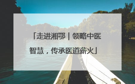 走进湘鄂｜领略中医智慧，传承医道薪火