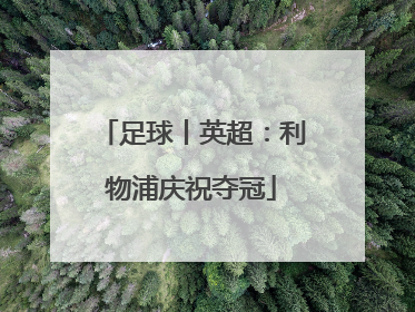 足球丨英超：利物浦庆祝夺冠