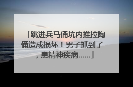 跳进兵马俑坑内推拉陶俑造成损坏！男子抓到了，患精神疾病……