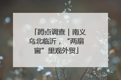 蹲点调查｜南义乌北临沂，“两扇窗”里观外贸