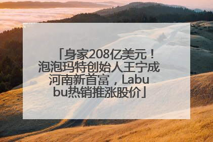 身家208亿美元！泡泡玛特创始人王宁成河南新首富，Labubu热销推涨股价