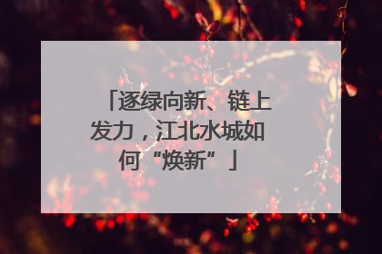 逐绿向新、链上发力，江北水城如何“焕新”