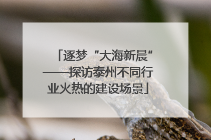 逐梦“大海新晨”——探访泰州不同行业火热的建设场景
