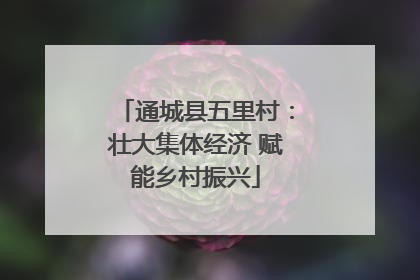 通城县五里村：壮大集体经济 赋能乡村振兴