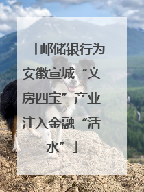 邮储银行为安徽宣城“文房四宝”产业注入金融“活水”
