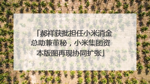 郝祥获批担任小米消金总助兼董秘，小米集团资本版图再现协同扩张