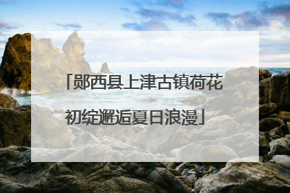 郧西县上津古镇荷花初绽邂逅夏日浪漫