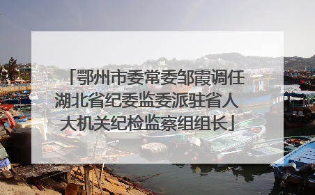 鄂州市委常委邹霞调任湖北省纪委监委派驻省人大机关纪检监察组组长