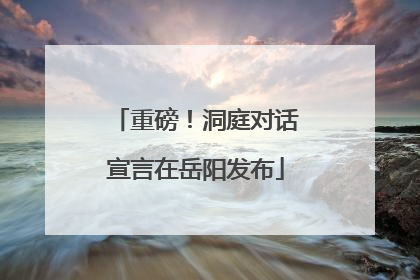 重磅！洞庭对话宣言在岳阳发布