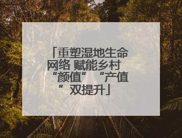 重塑湿地生命网络 赋能乡村“颜值”“产值”双提升