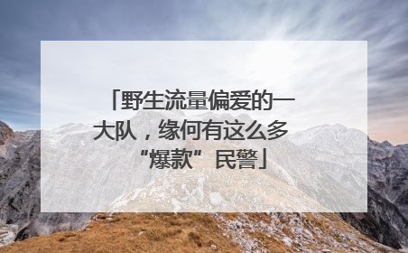 野生流量偏爱的一大队，缘何有这么多“爆款”民警