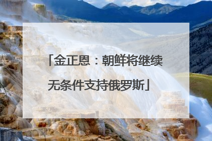 金正恩：朝鲜将继续无条件支持俄罗斯