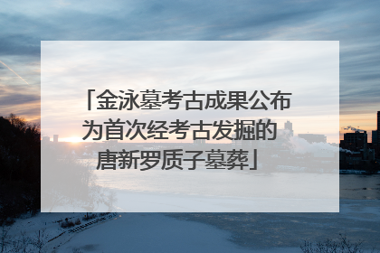 金泳墓考古成果公布 为首次经考古发掘的唐新罗质子墓葬