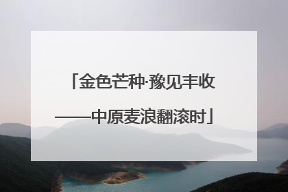 金色芒种·豫见丰收——中原麦浪翻滚时