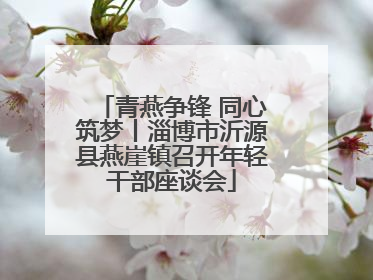 青燕争锋 同心筑梦丨淄博市沂源县燕崖镇召开年轻干部座谈会